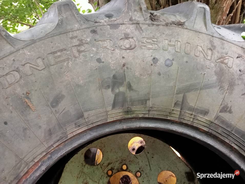 Opona dneproshina 65075 32R świętokrzyskie