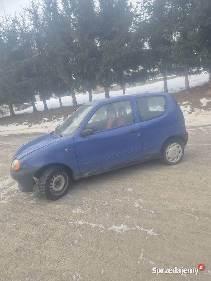 seicento 900 Pstrągowa