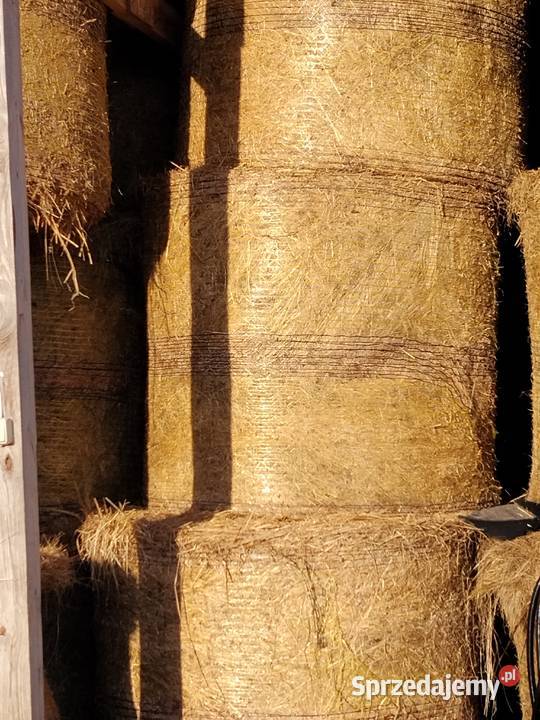 Sprzedam siano w belach Trawy, słoma Zambrów sprzedam