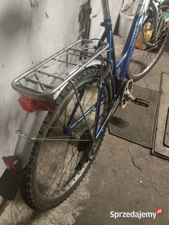 Rower damka Zasada Maxim