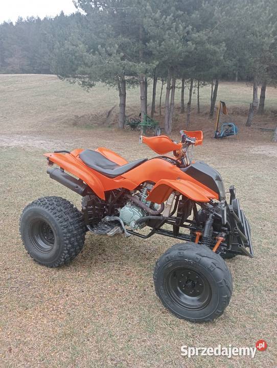 Sprzedam Bashan 200 Małogoszcz