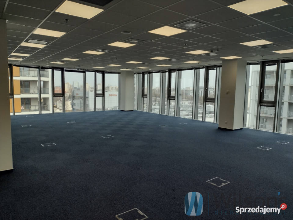 Lokal na wynajem 41085m2 Warszawa Domaniewska Nieruchomości sprzedam