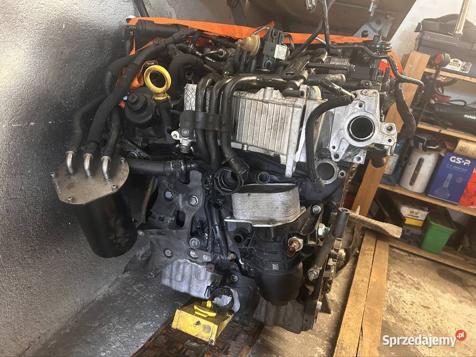Silnik 16tdi DCXa sprzedam