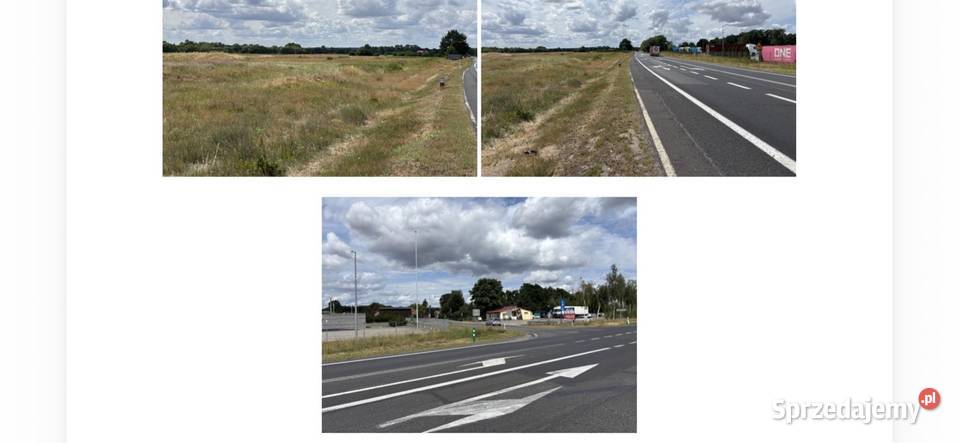 Działki gruntowe nie zabudowane Sprzedaż lubuskie Świebodzin