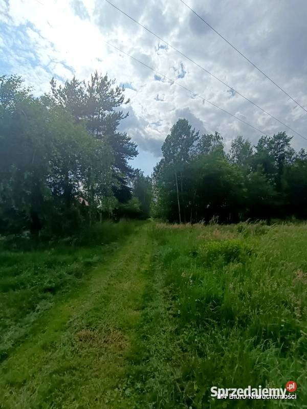 ŁADNA DZIAŁKA W ŚWIERZOWEJ POLSKIEJ 24 AR rolna Sprzedaż Krosno