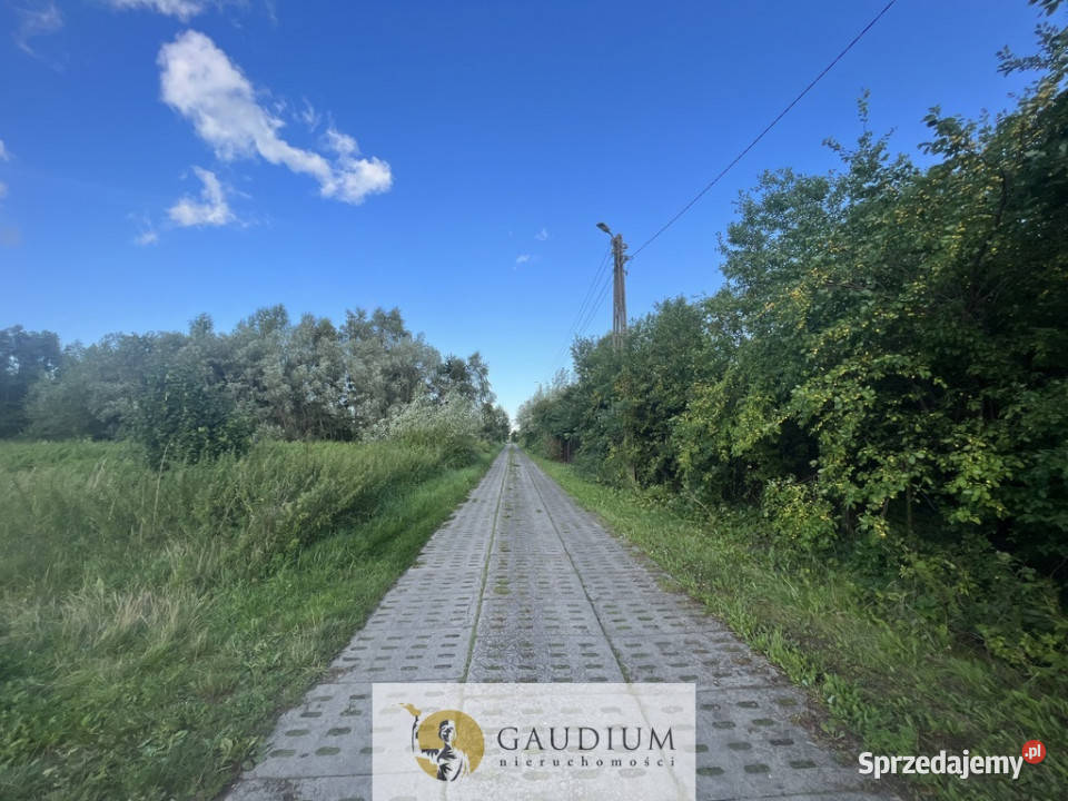 Działka na Żuławach I trasy S7 I 2500 m2 Kiezmark