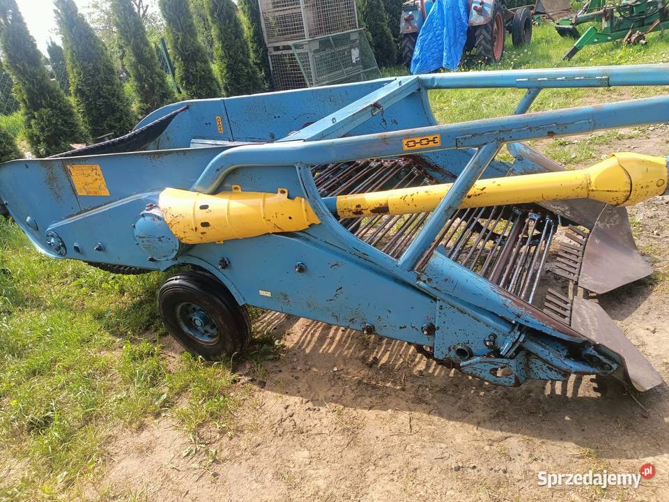 Kopaczka Elewatorowa podkarpackie sprzedam