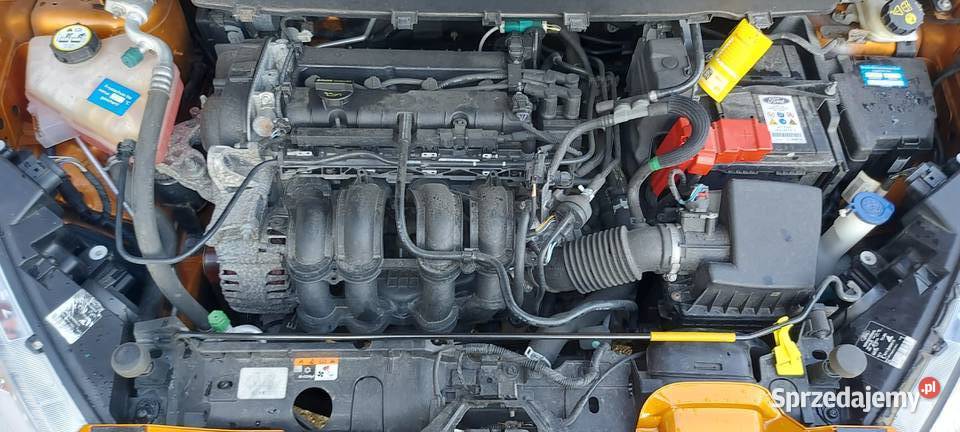 B automat Paczków sprzedam