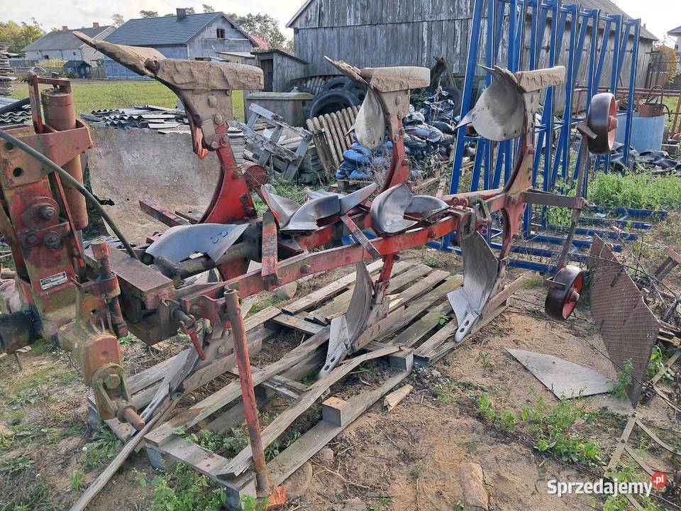 Plug niemeyer Sanniki