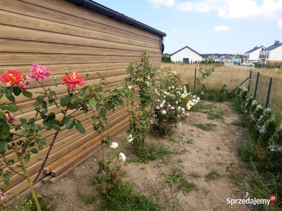 Sprzedam działkę budowlaną w Przewłoce koło 445zł/m2 Ustka