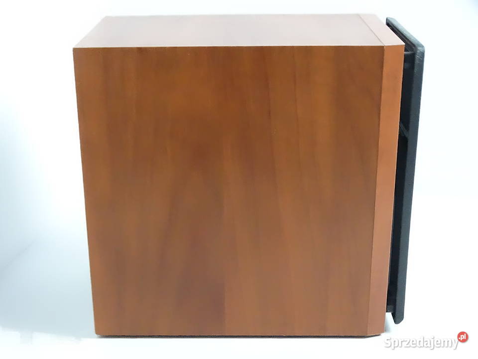 Głośnik Panasonic SBPMX1 Pojedyncza Sztuka 100