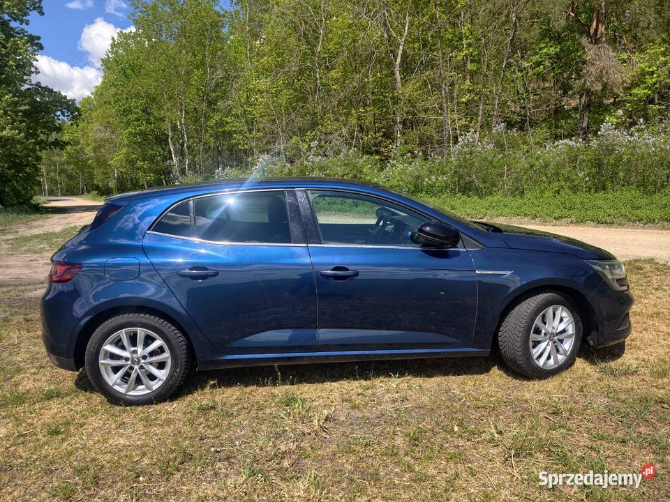Renault Megane 15 dCi Krzewina