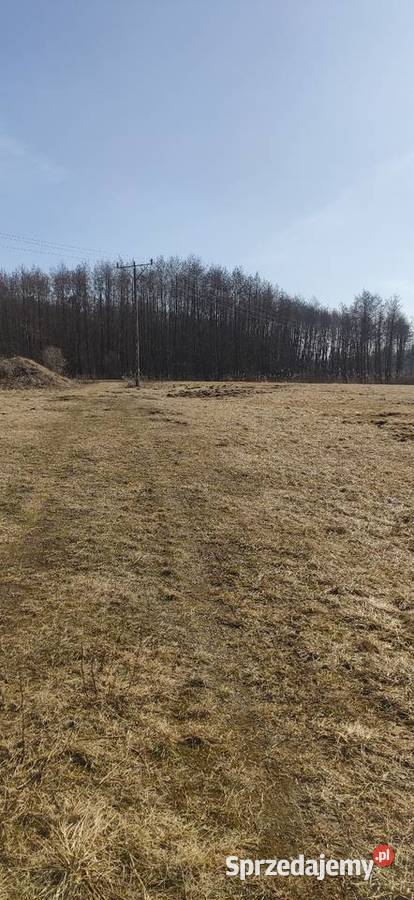 Działka budowlana kopanino
