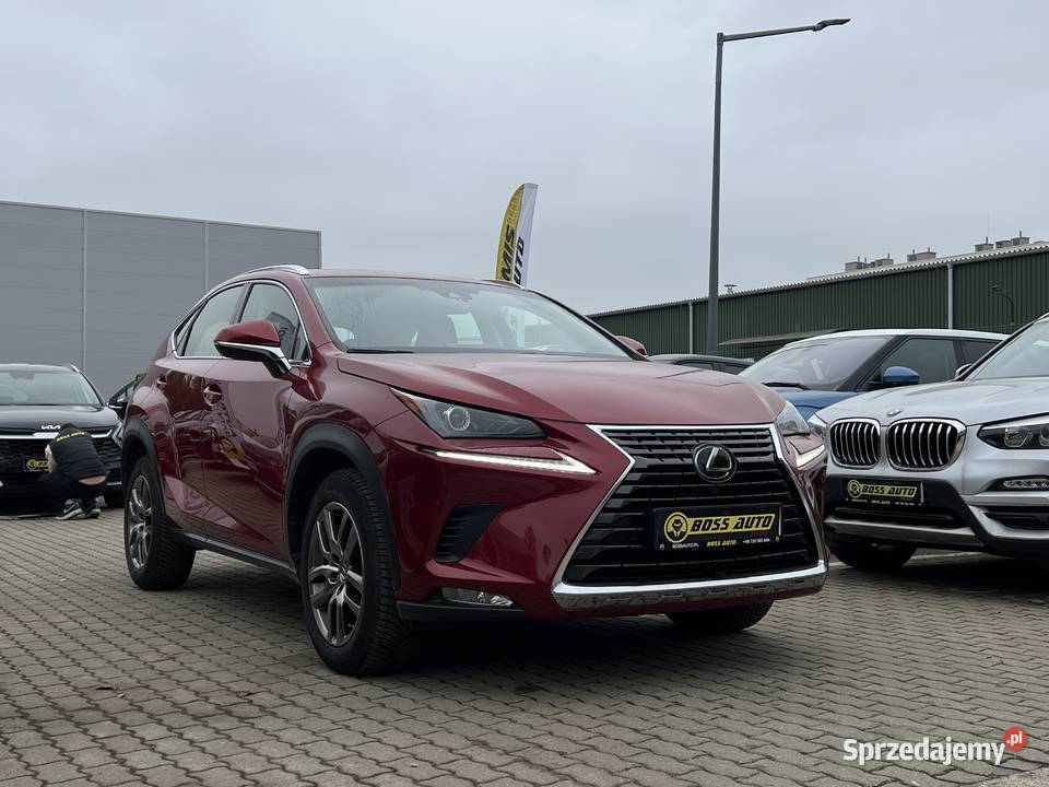 Lexus NX 300 2019 NX