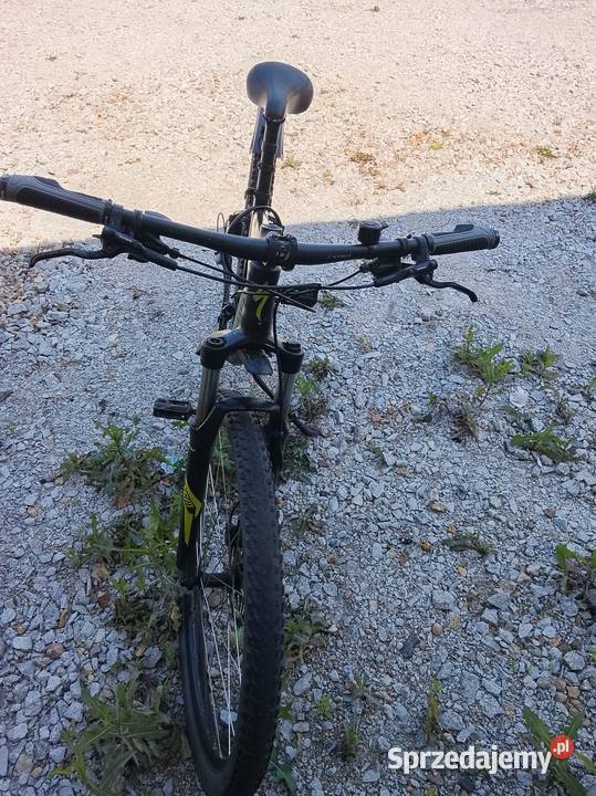 Rower Specjalized Leszno