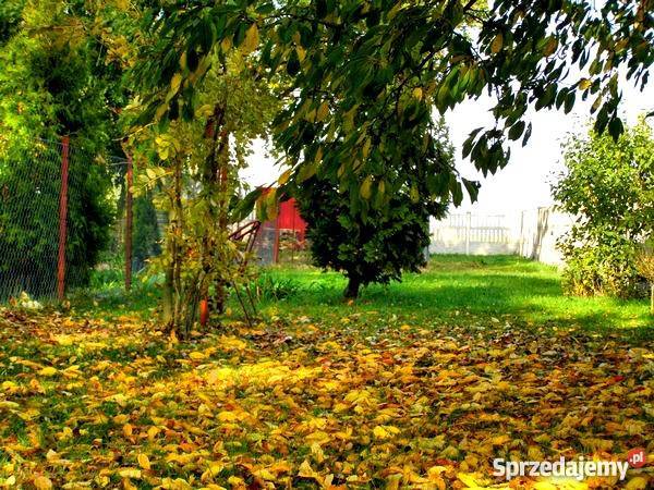 DOM Z KLIMATEM NA PIĘKNEJ DZIAŁCE OKOLICA sprzedam