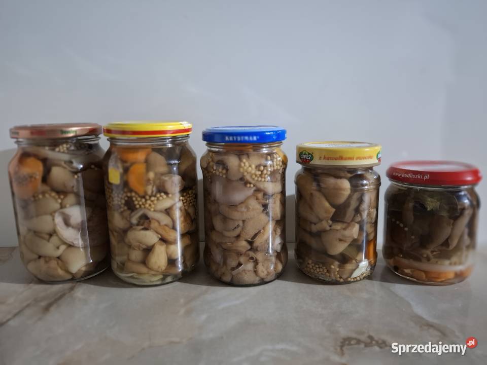 Koźlarzekozaki maślaki zajączki marynowane w Grzyby Czyżowice