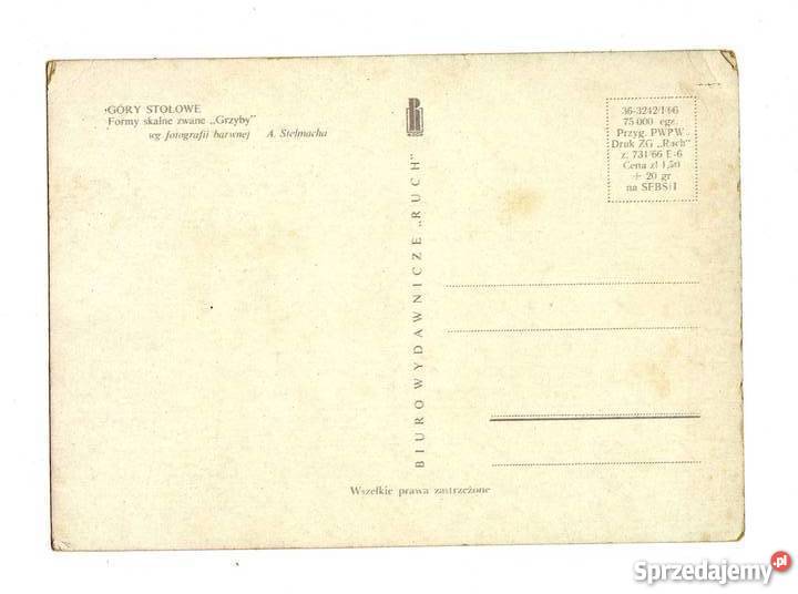 GÓRY STOŁOWE GRZYBY POCZTÓWKA Krynki sprzedam