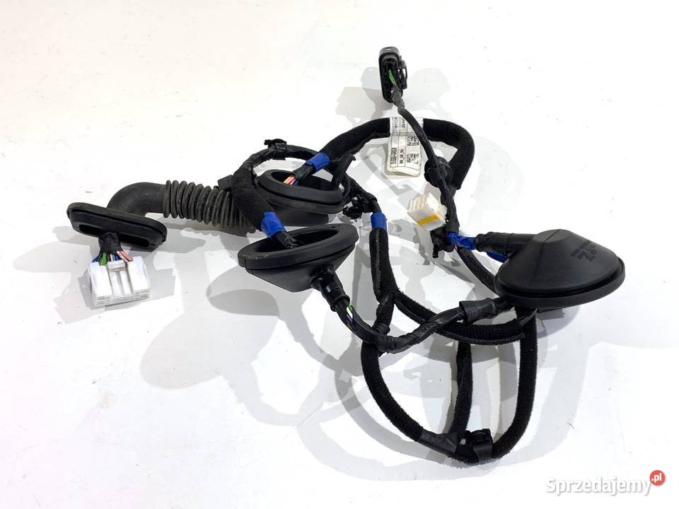 WIĄZKA DRZWI TYŁ PRAWY HYUNDAI i30 91660G4060 10 Drzwi podkarpackie