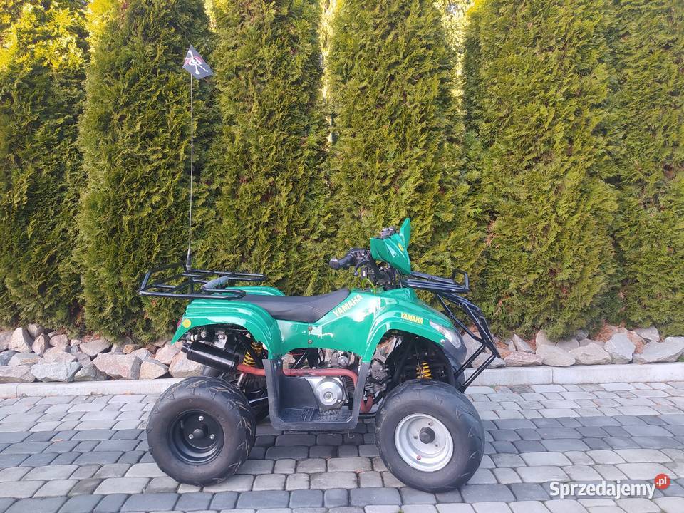 Quad ATV 110 Pozostałe Niegowić