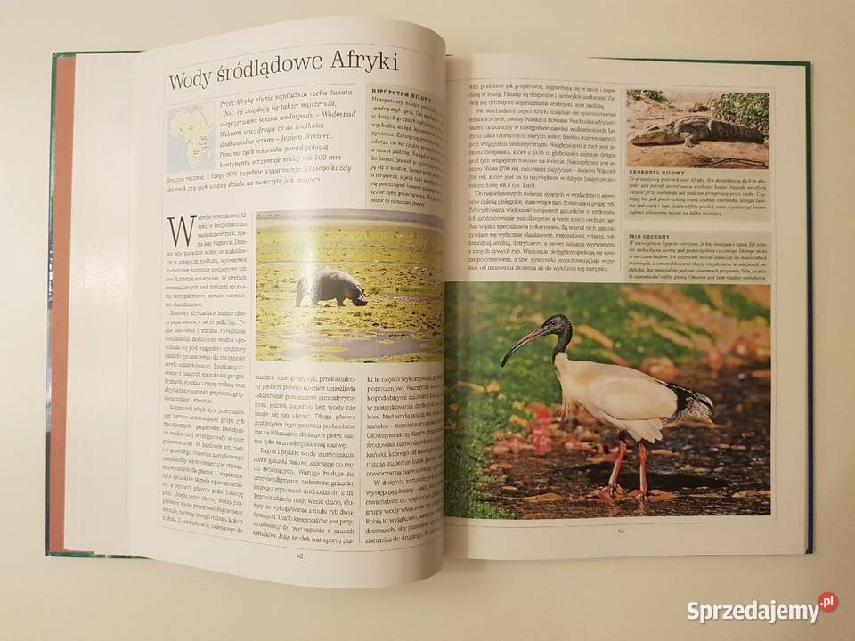 Ilustrowana Przyroda Świata Szczecin