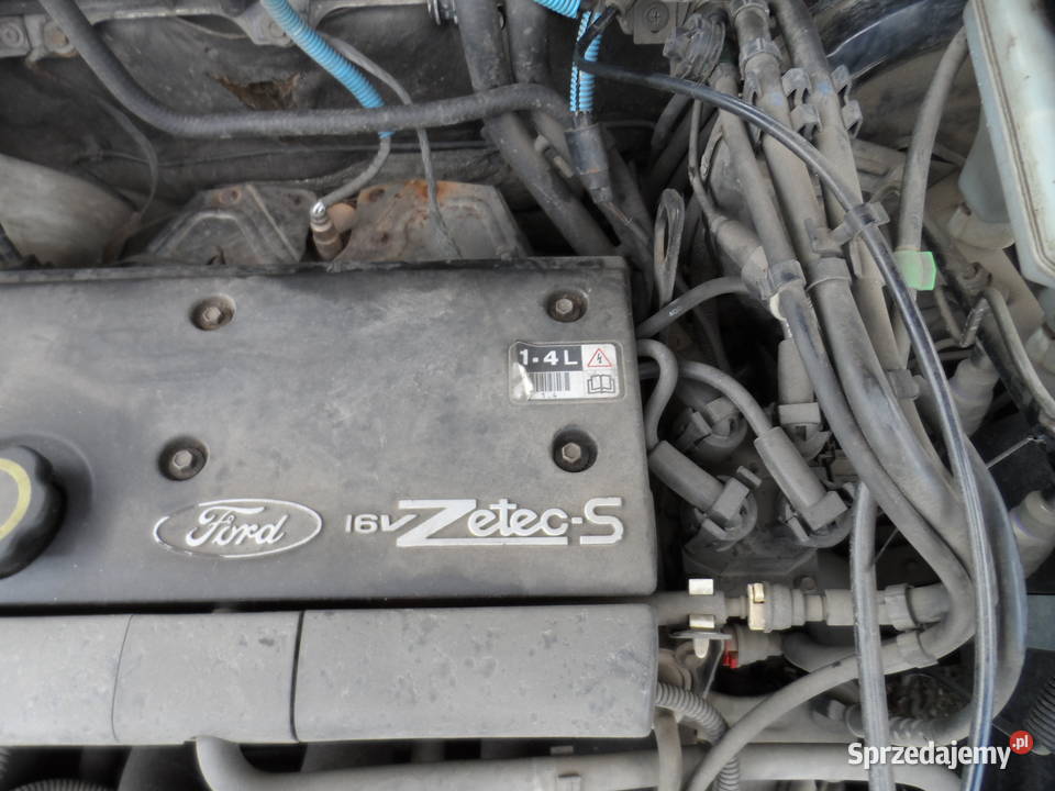 ford silnik 14 ZETEC Legnica