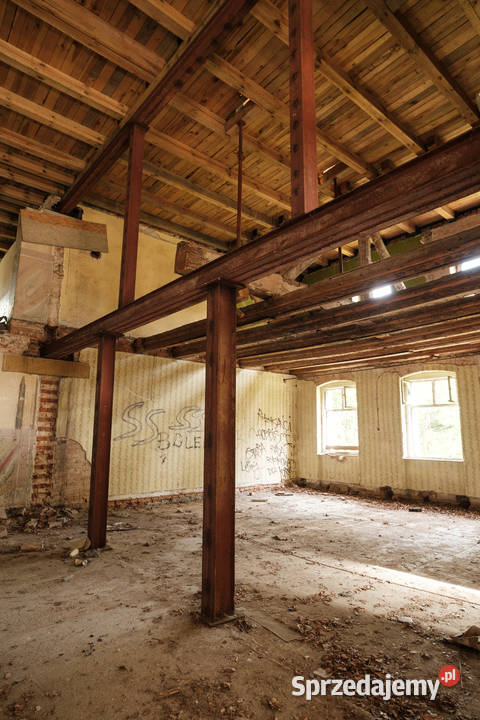 Zabytkowy pałac z parkiem Wilków woj Opolskie