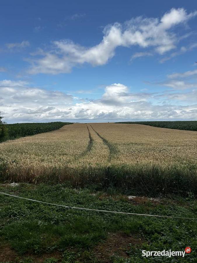 Dom na sprzedaż Niemil Dolnoślądkie Oława