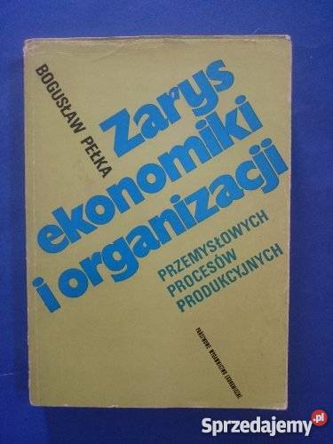 ZARYS EKONOMIKI I ORGANIZACJI Pełka FA Goleniów