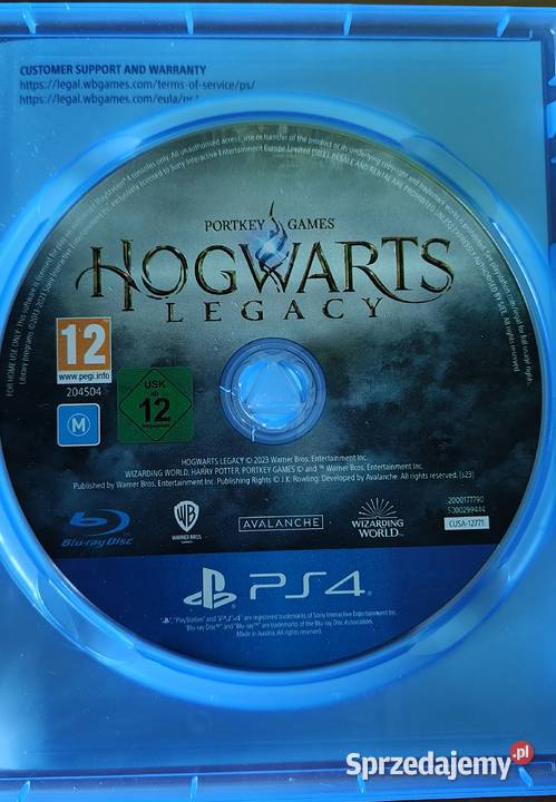 Hogwarts legacy 4 wielkopolskie Szreniawa