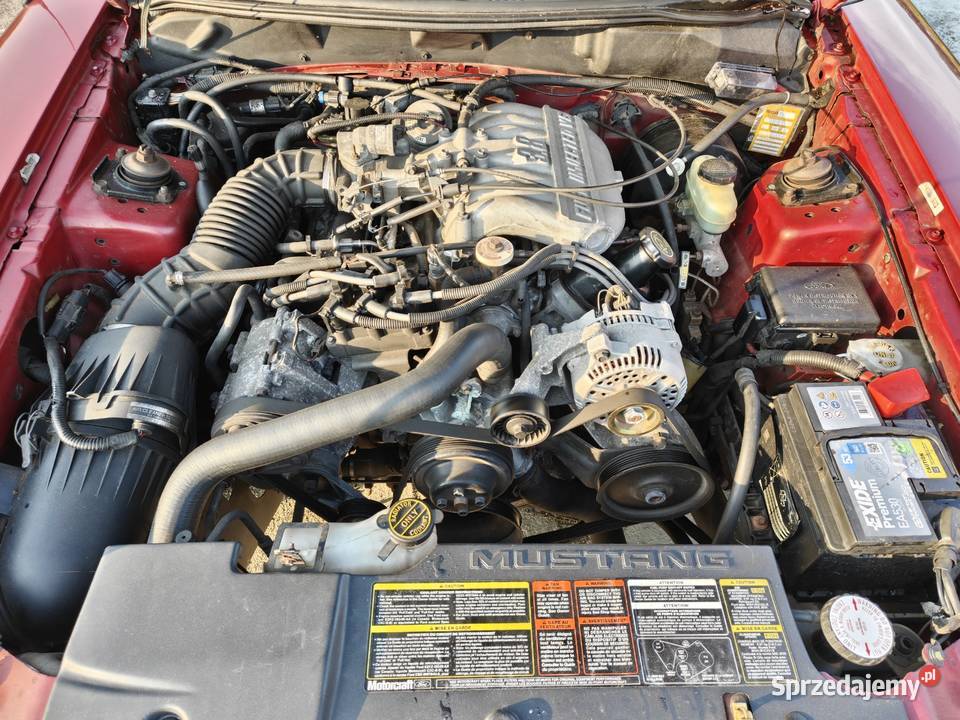 Ford Mustang sn95 38 V6 Manual Września