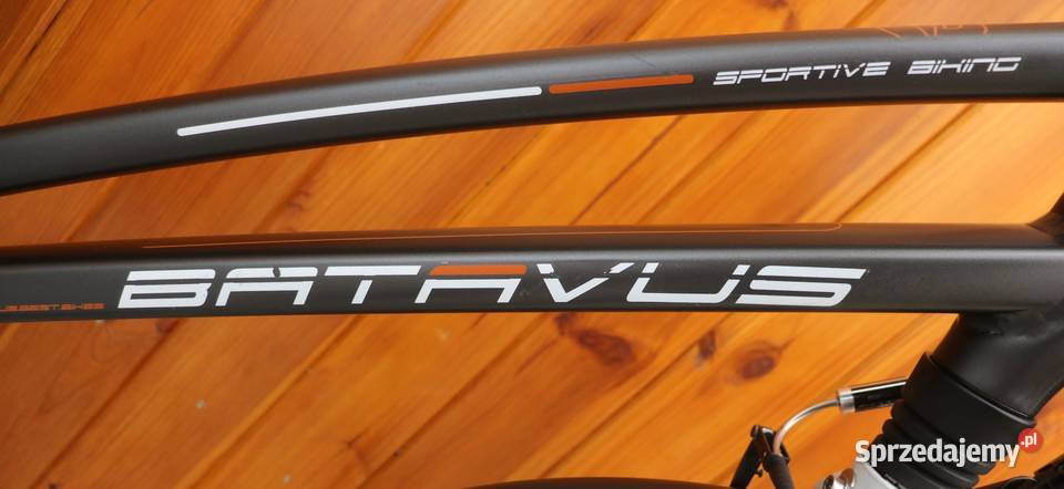 Rower damski Batavus San Remo D 61 RATY I inne Milanówek