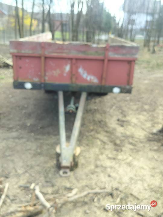 Rozrzutnik Miłochniewice