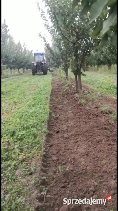 Pielnik boczny Ekopielnik Pielnik sadowniczy świętokrzyskie Sandomierz