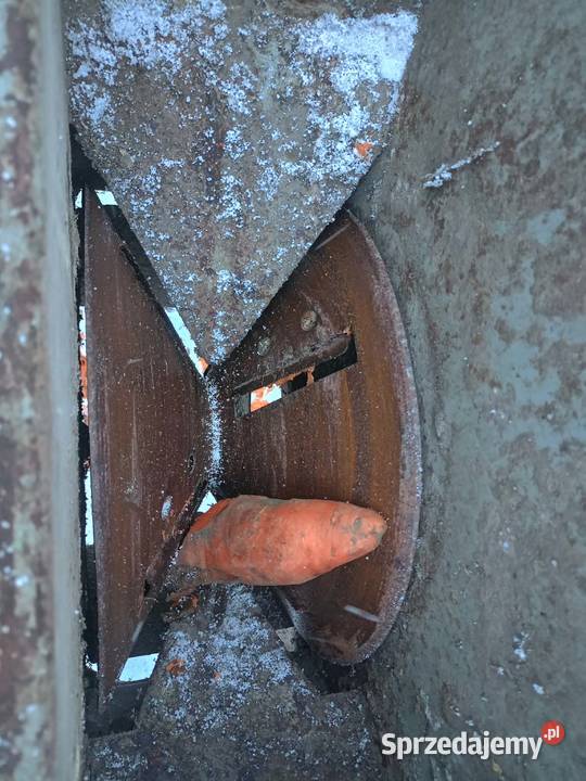 rozdrabniacz do burakowwarzyw Izbica Kujawska