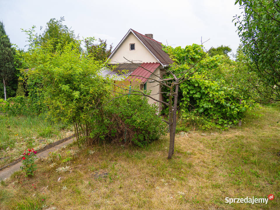 Działka w ROD Złocień ruokliwy solidny domek dolnośląskie Wrocław