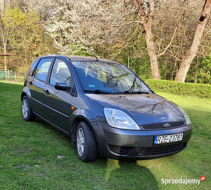 Ford Fiesta mk6 14tdci nieuszkodzony Chmielnik