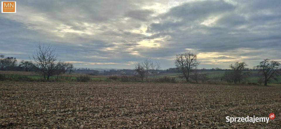 sprzedaży gruntu Morawica Rudki 1647m2 57m