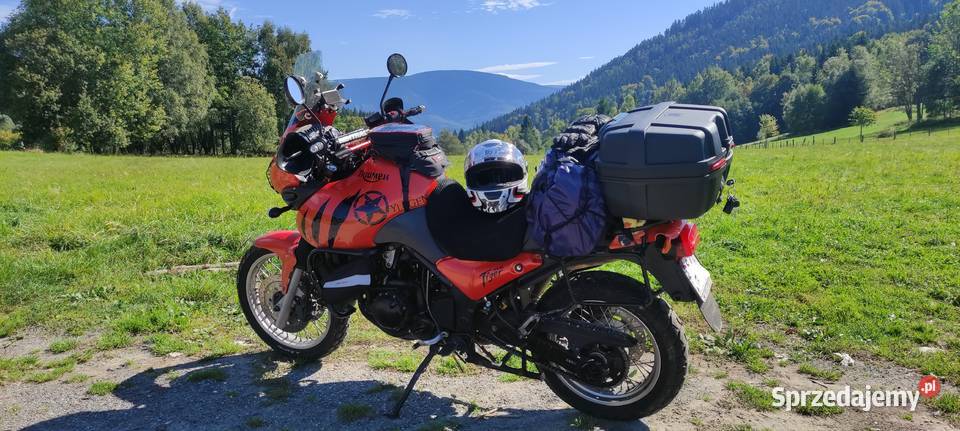 Triumph Tiger 955i 2004 955cm3 śląskie