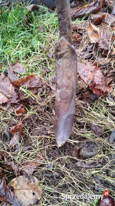 Agregat uprawowy Expom 33m mazowieckie Siennica