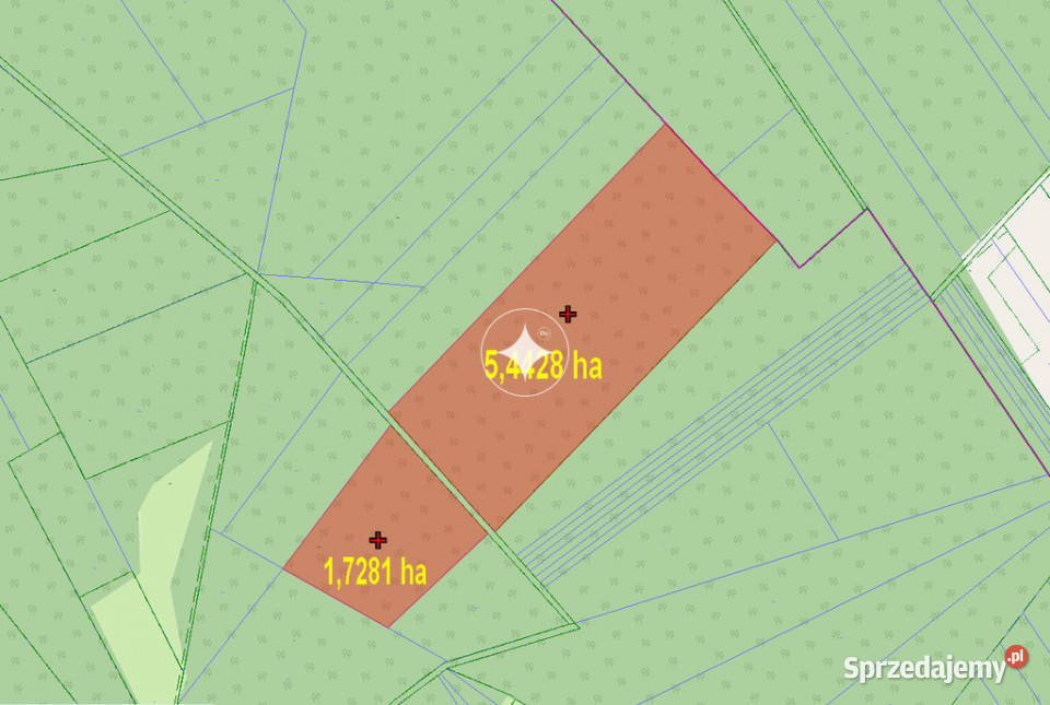 Działki leśne do sprzedaży Mokre gm Rossosz lubelskie