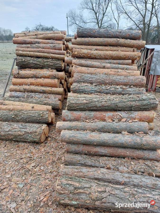 Drewno opałowe sosnowe wałki