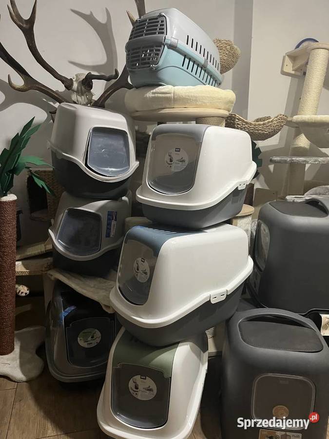 Kuweta kota opolskie Zielina