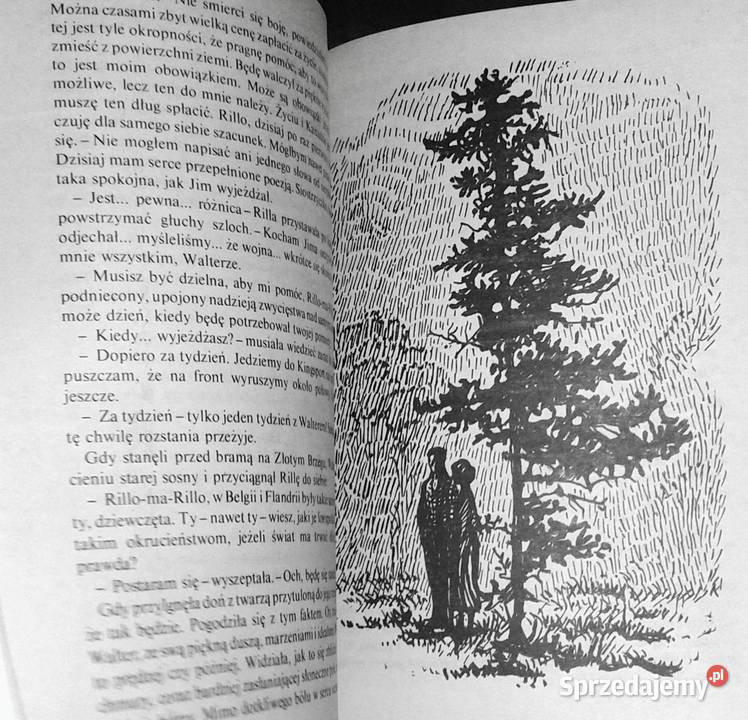 Rilla ze Złotego Brzegu Maud Montgomery