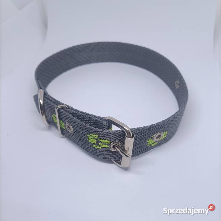 Obroża psa 25mm75 Zwierzęta Gorzów Wielkopolski sprzedam