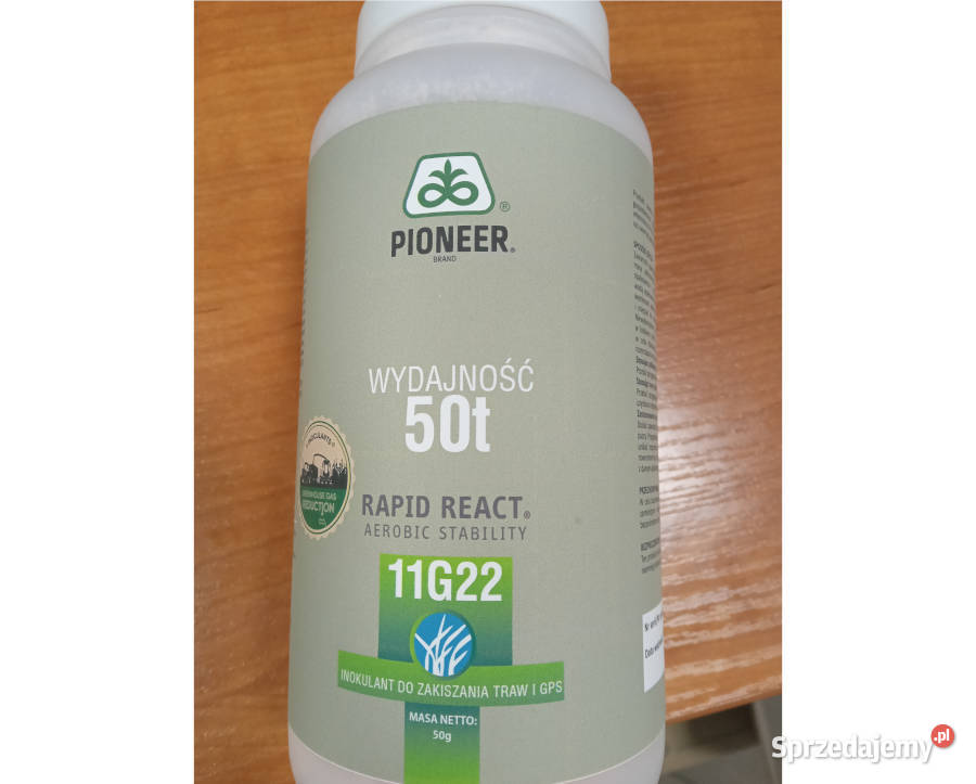 Inokulant Pioneer 11G22 Rapid Reacttraw do traw wielkopolskie Gniezno