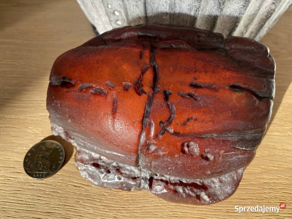 Sprzedam ponad 500g Bursztyn Bałtycki Kołobrzeg
