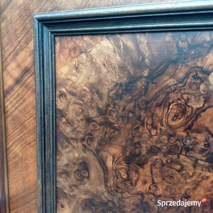 Reprezentacyjna Biblioteka Witryna w stylu Suchorzew