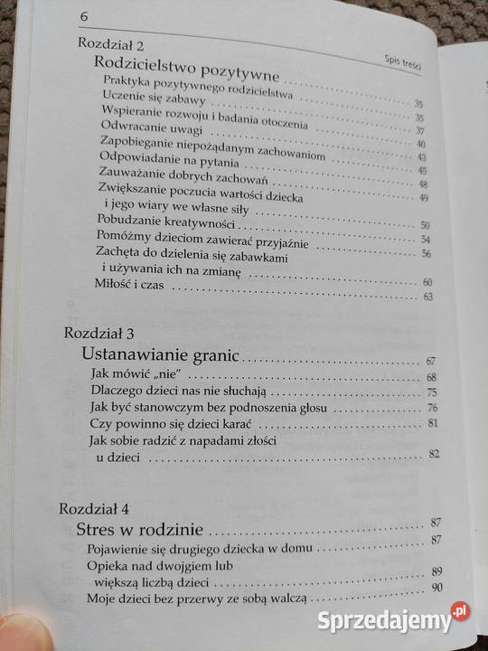 Zrozumieć przedszkolaka Jo Douglas Kraków