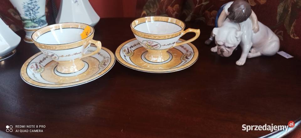 Filiżanka ptaszki Schwarzenhammer Gdańsk